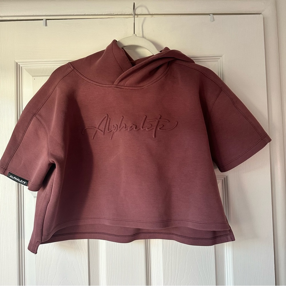 Alphalete ELMTS Half Sleeve Hoodie Mauve Small